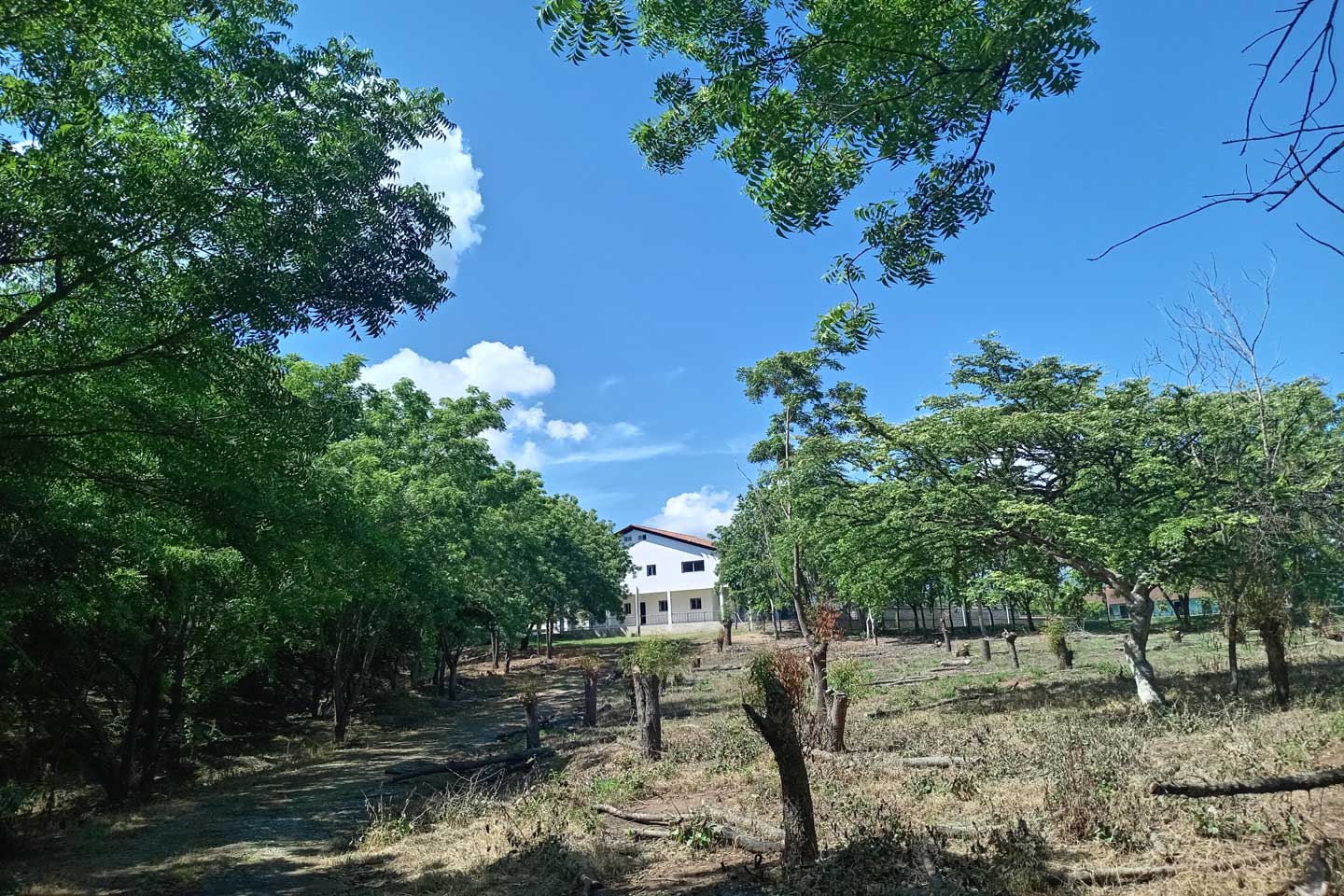 Complejo Comunitario