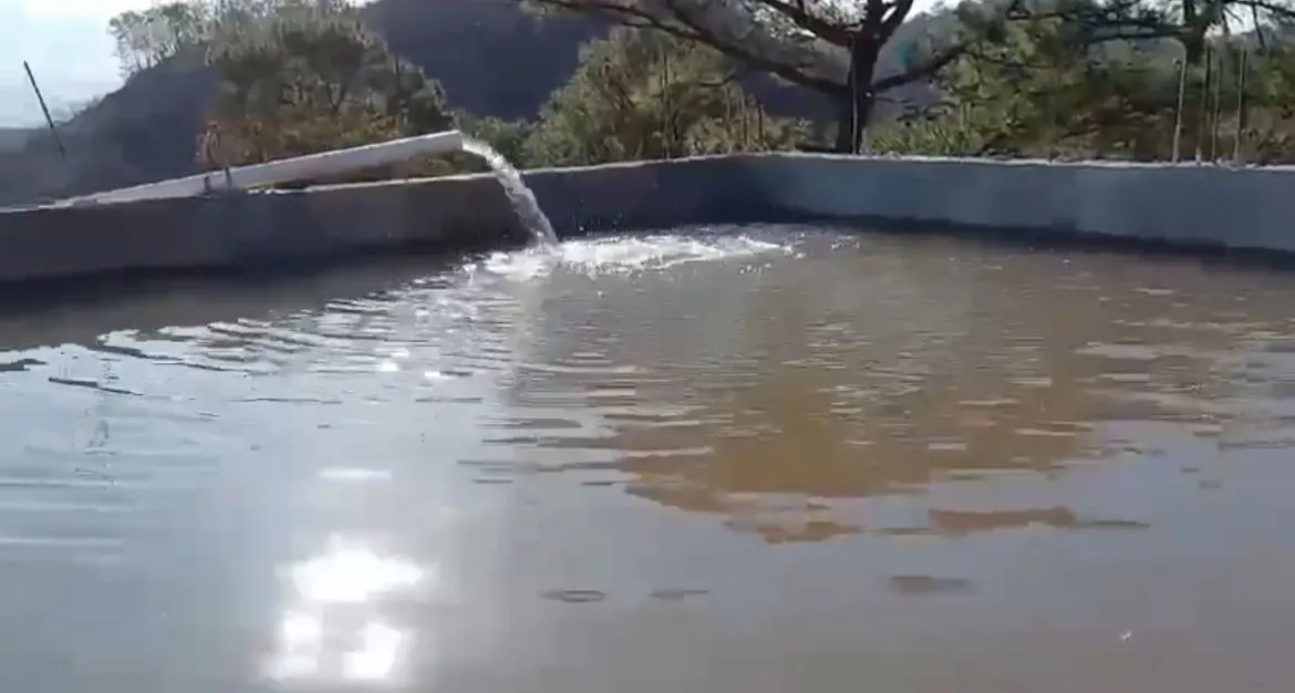 Finca de Limón