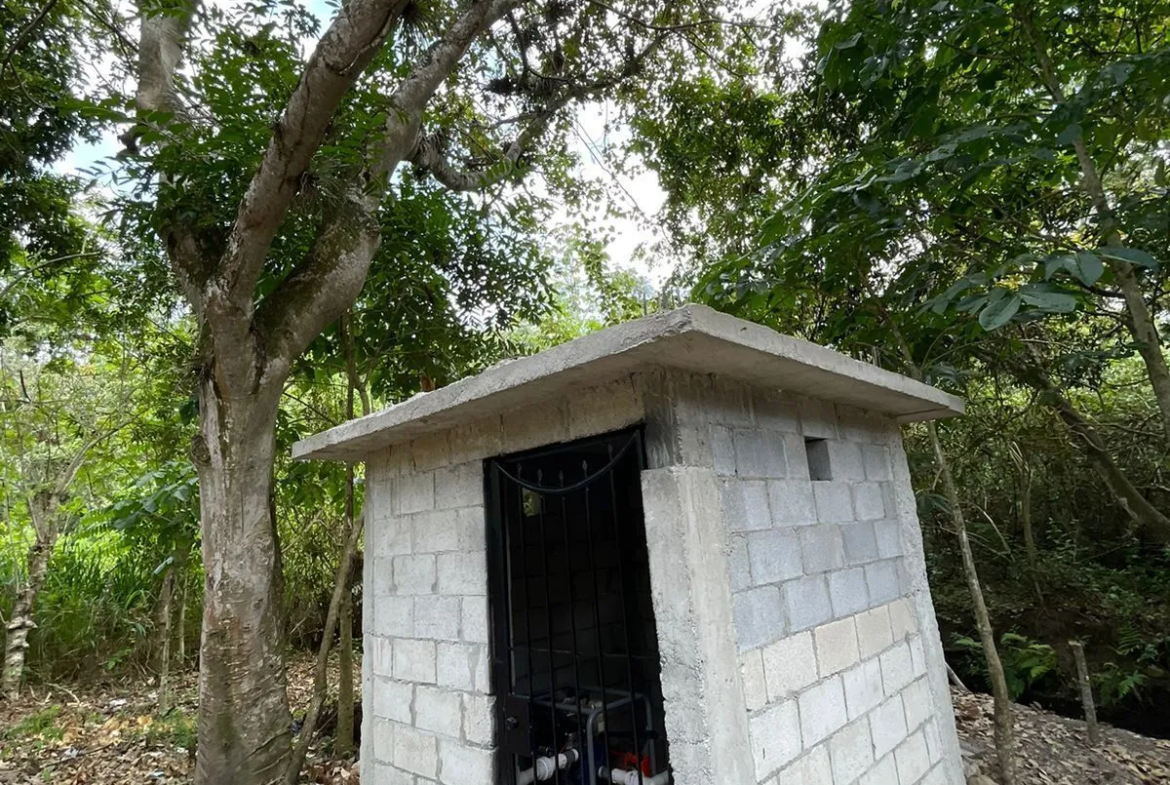 Finca de Limón