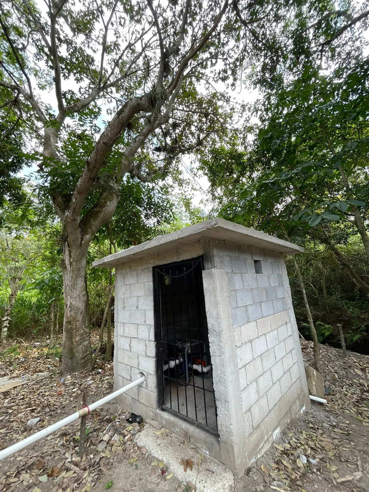 ECI-FincaLimon -5 Finca de Limón
