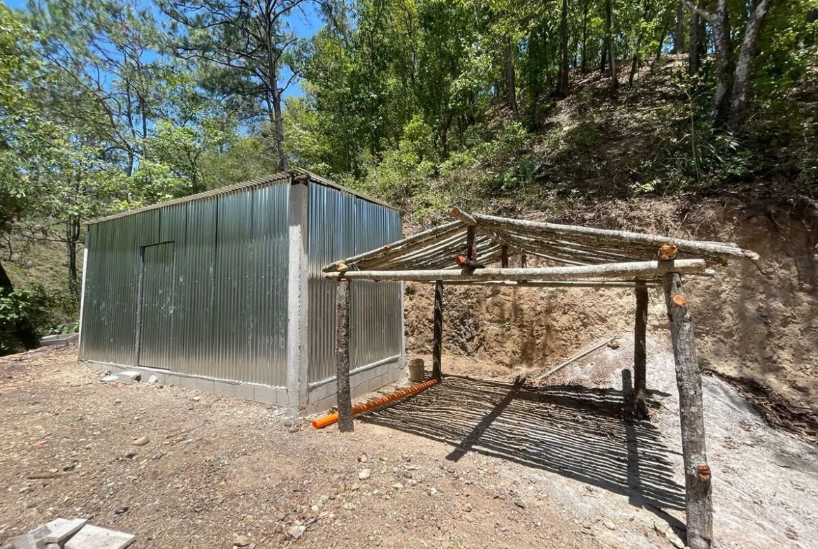 Finca de Limón