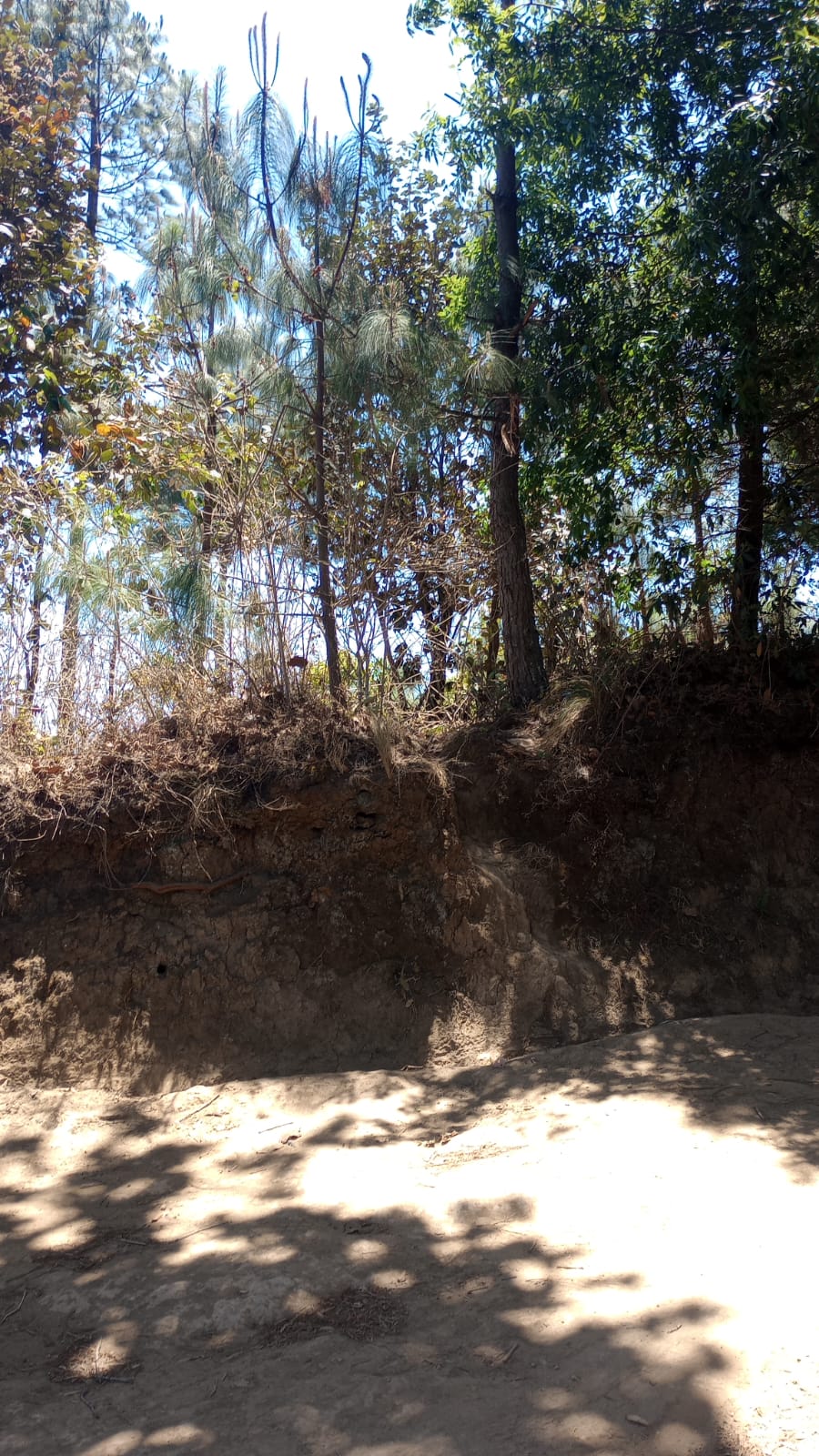 Imagen de WhatsApp 2024-08-22 a las 10.24.19_1e404cd0 Terreno – Tecpán