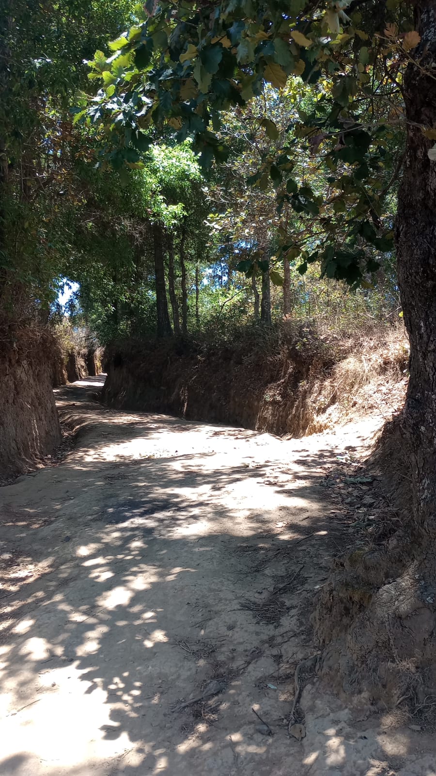 Imagen de WhatsApp 2024-08-22 a las 10.24.19_2cde0e6c Terreno – Tecpán