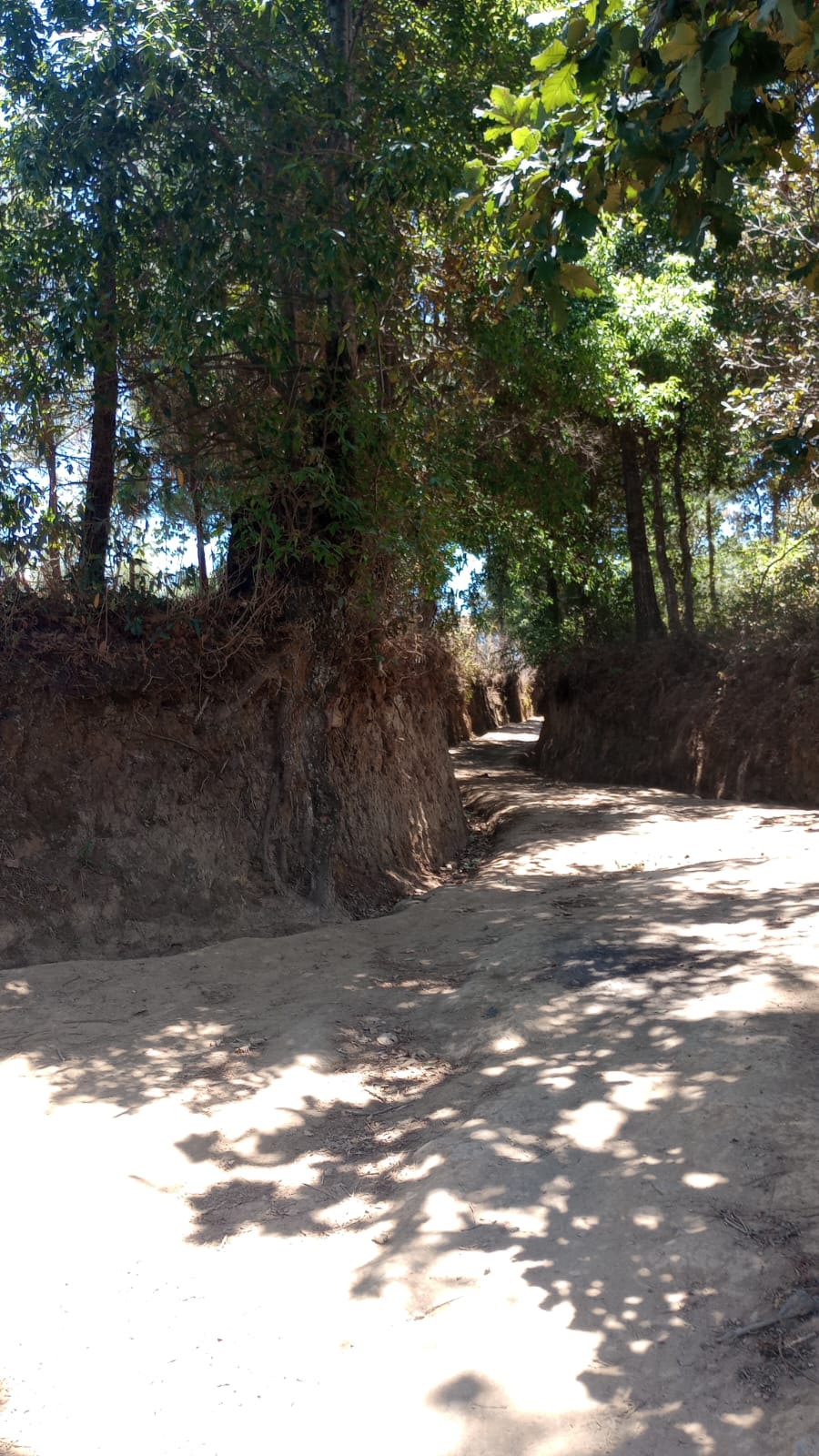 Imagen de WhatsApp 2024-08-22 a las 10.24.19_c57563a8 Terreno – Tecpán