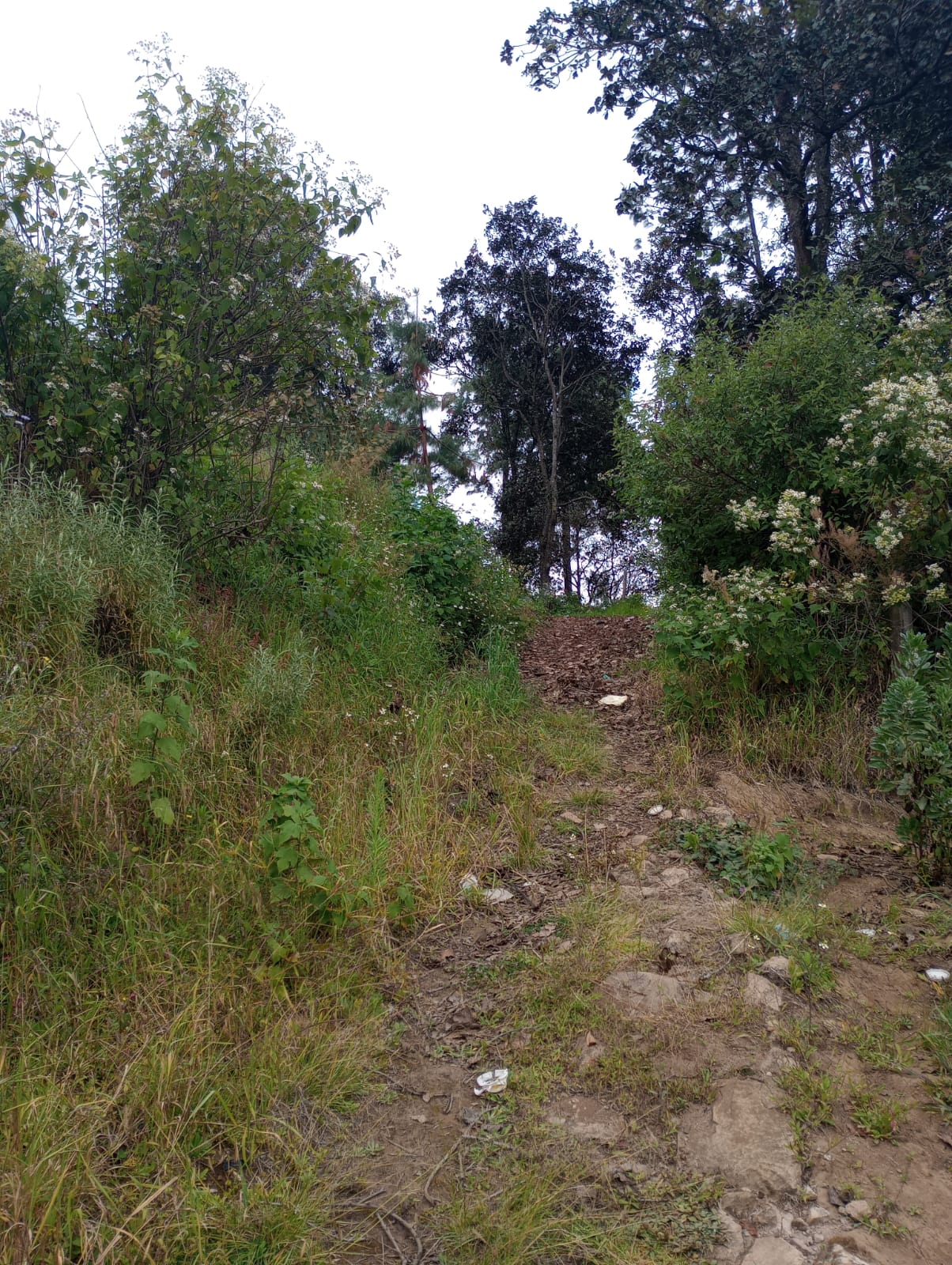 Imagen de WhatsApp 2024-08-22 a las 10.24.20_644ff618 Terreno – Tecpán