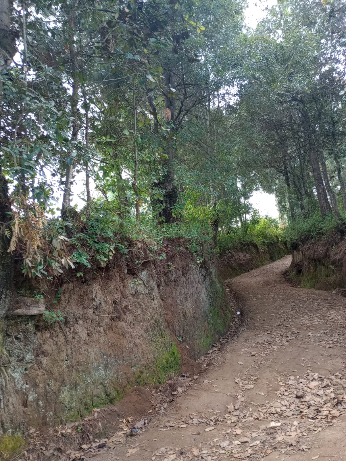 Imagen de WhatsApp 2024-08-22 a las 10.24.20_c1aa777e Terreno – Tecpán