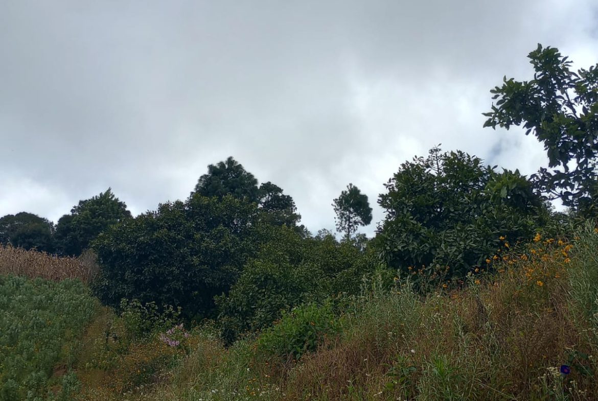 Terreno – Tecpán