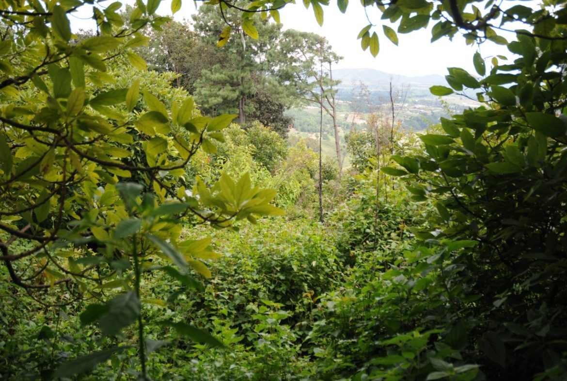 Terreno – Tecpán