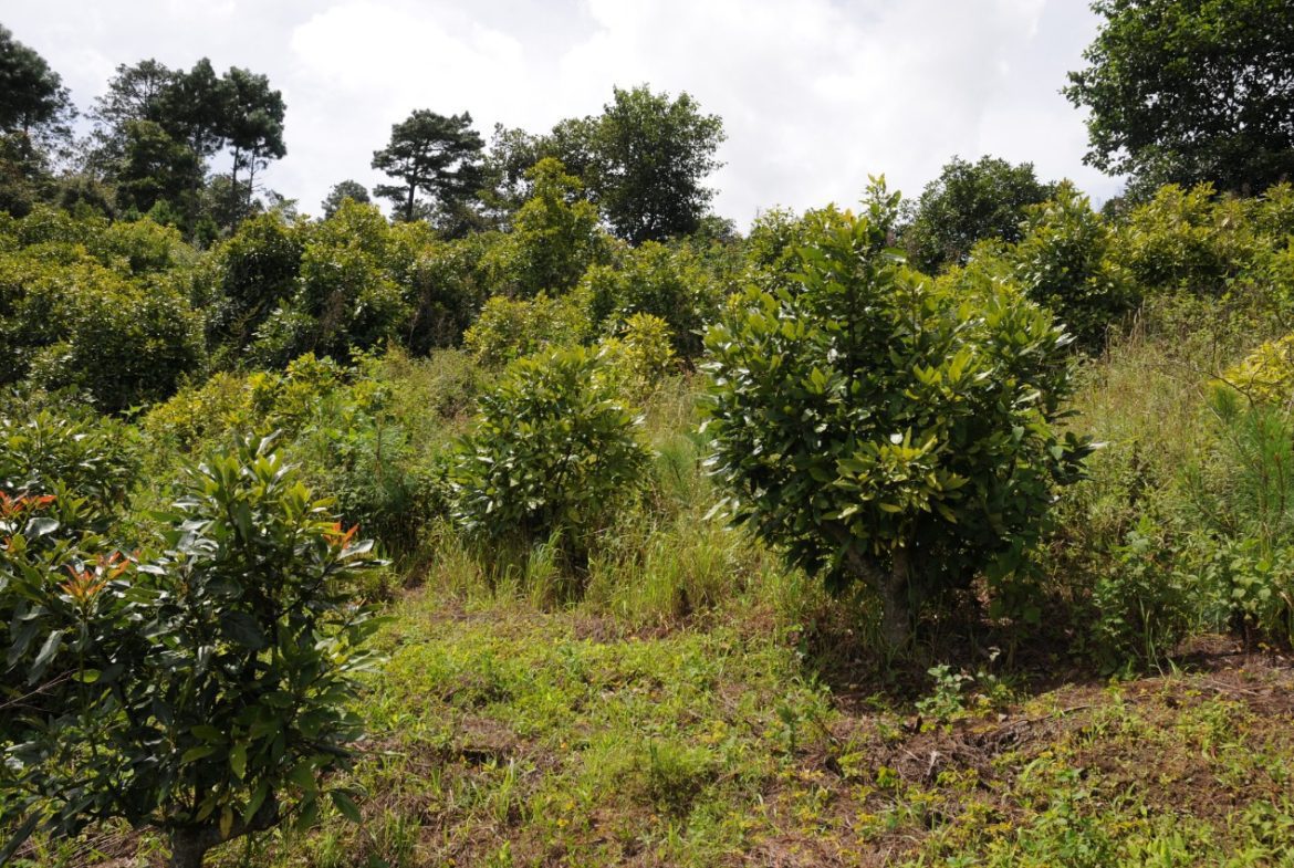 Terreno – Tecpán