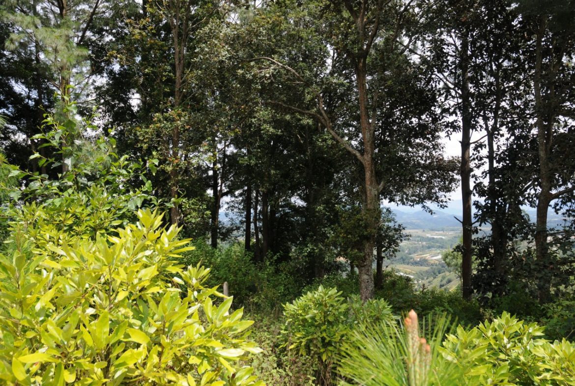 Terreno – Tecpán
