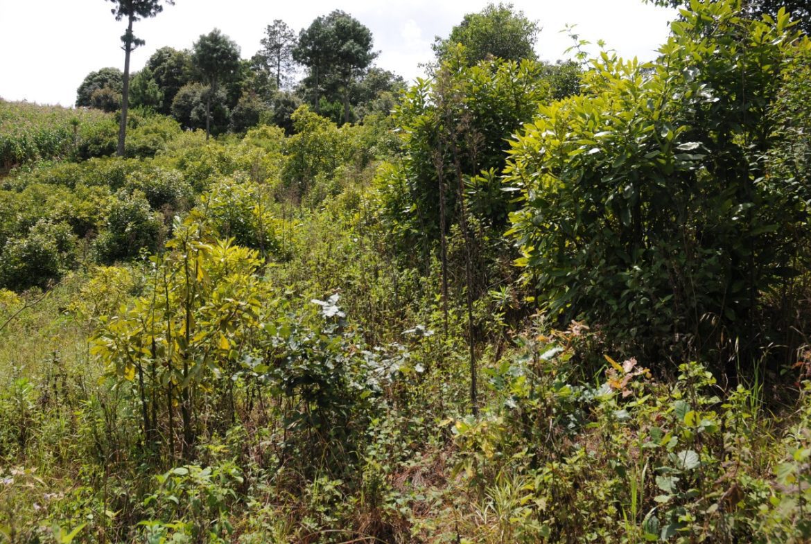 Terreno – Tecpán