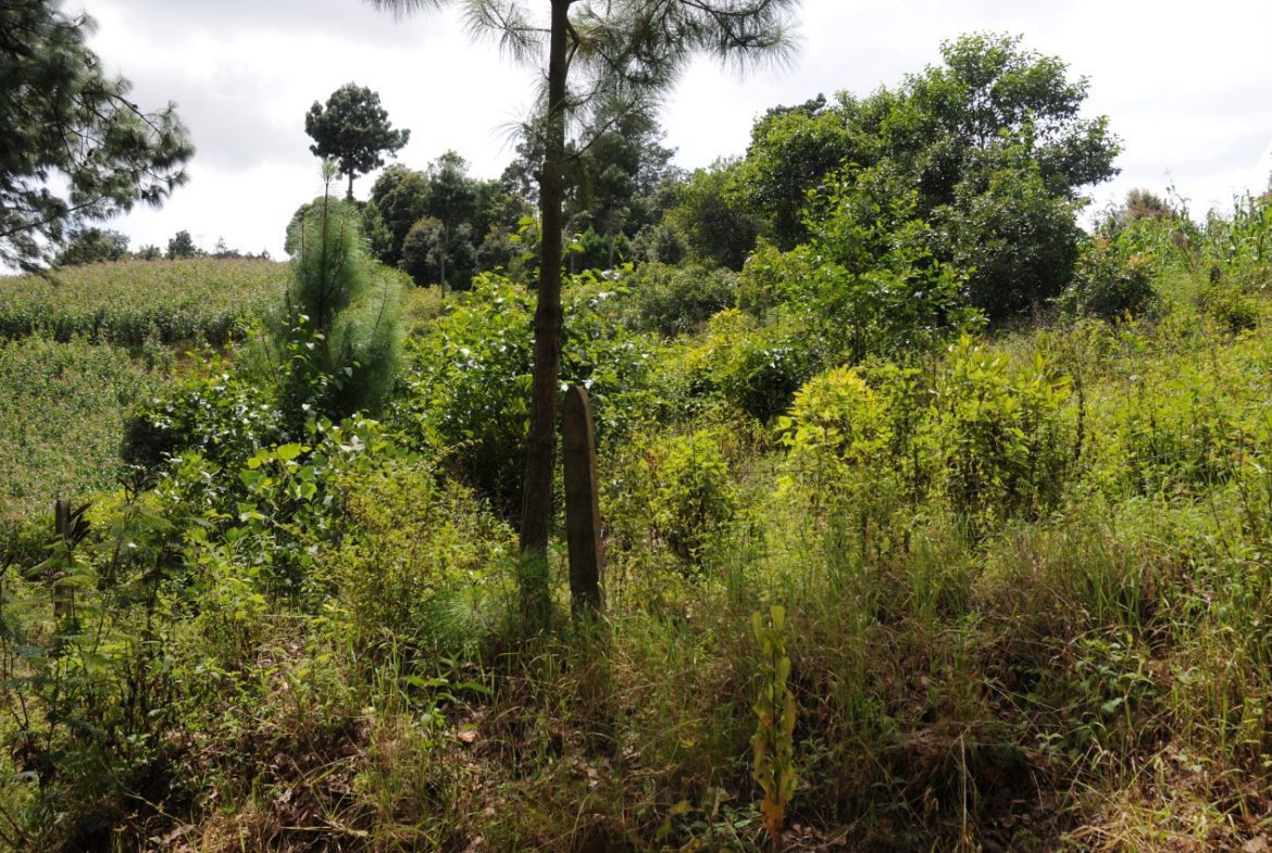 Terreno – Tecpán