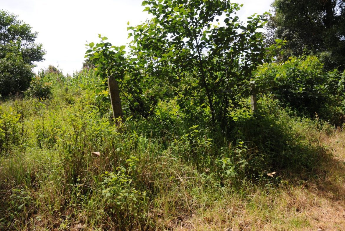 Terreno – Tecpán