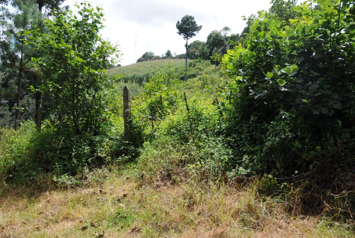 Terreno – Tecpán