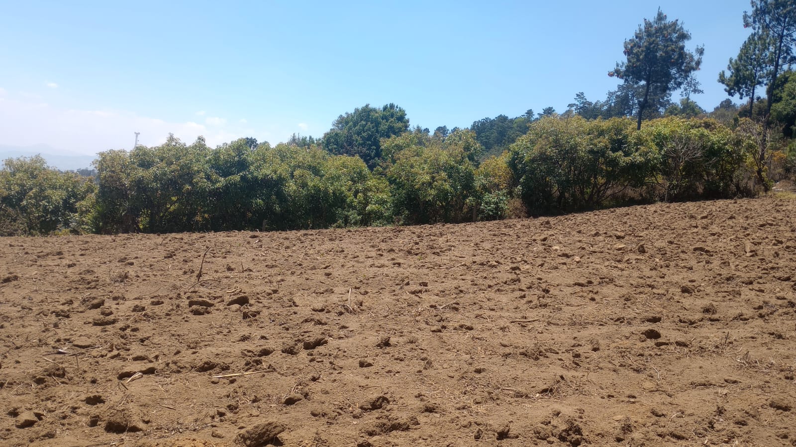 Imagen de WhatsApp 2024-08-22 a las 10.24.25_4b2d987b Terreno – Tecpán