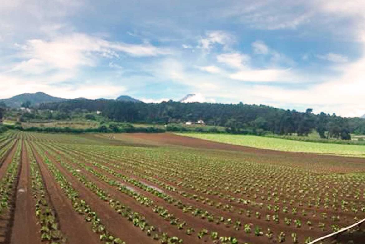 TERRENO PREMIUM EN MAGDALENA MILPAS ALTAS