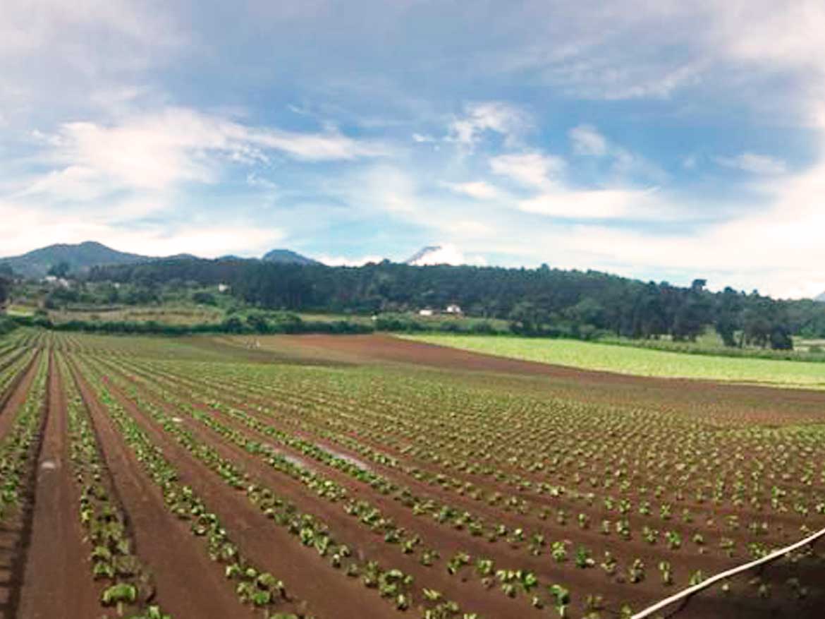 TERRENO PREMIUM EN MAGDALENA MILPAS ALTAS