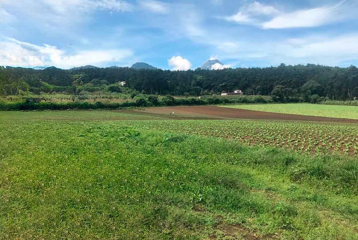 TERRENO PREMIUM EN MAGDALENA MILPAS ALTAS