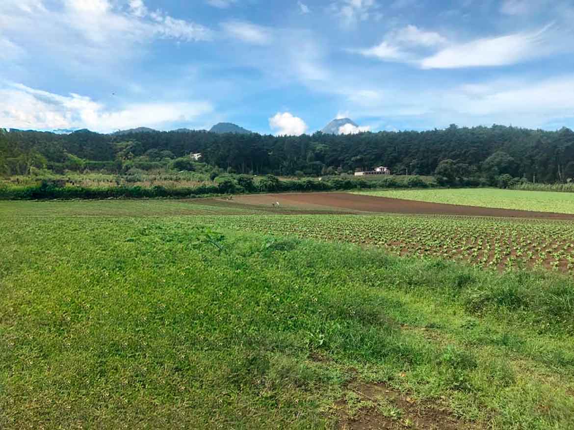 TERRENO PREMIUM EN MAGDALENA MILPAS ALTAS