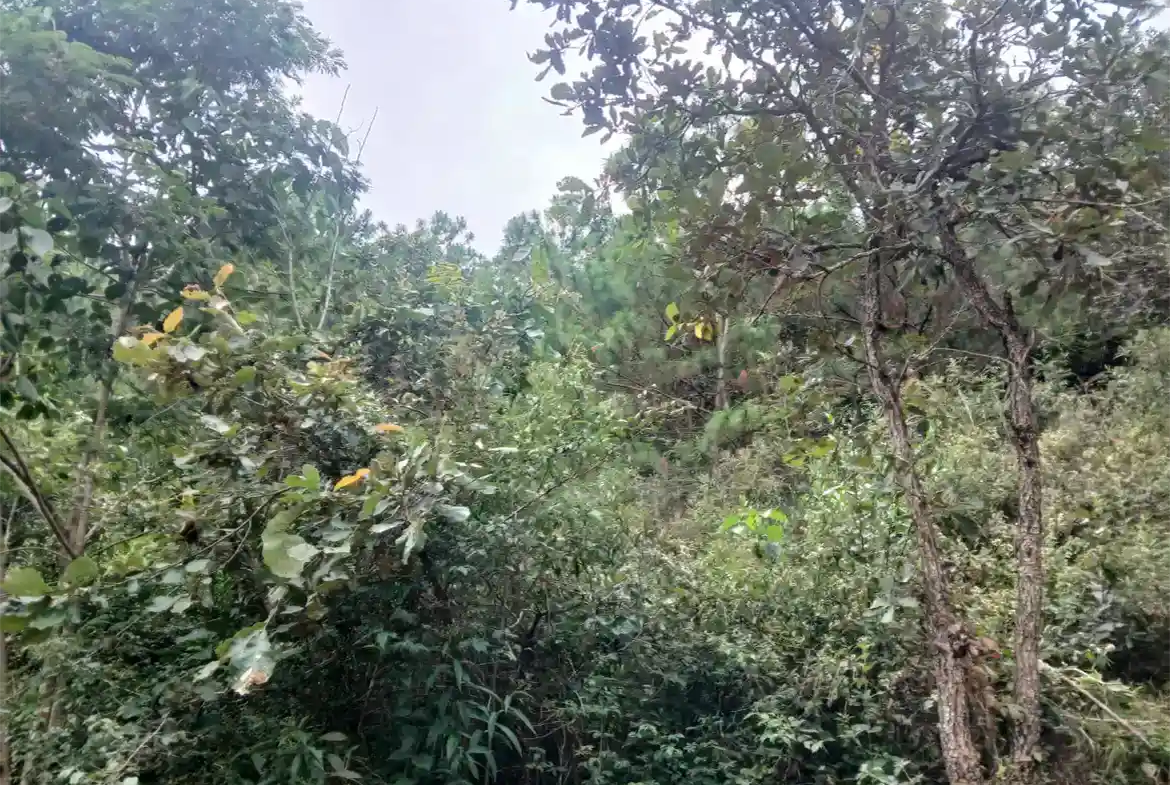 Terreno Plano Aldea Montúfar