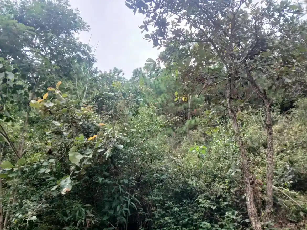 Terreno Plano Aldea Montúfar