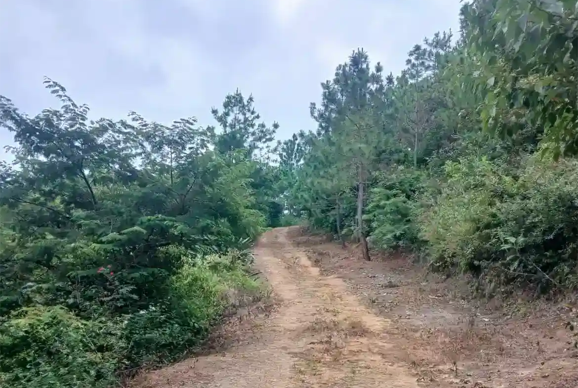 Terreno Plano Aldea Montúfar