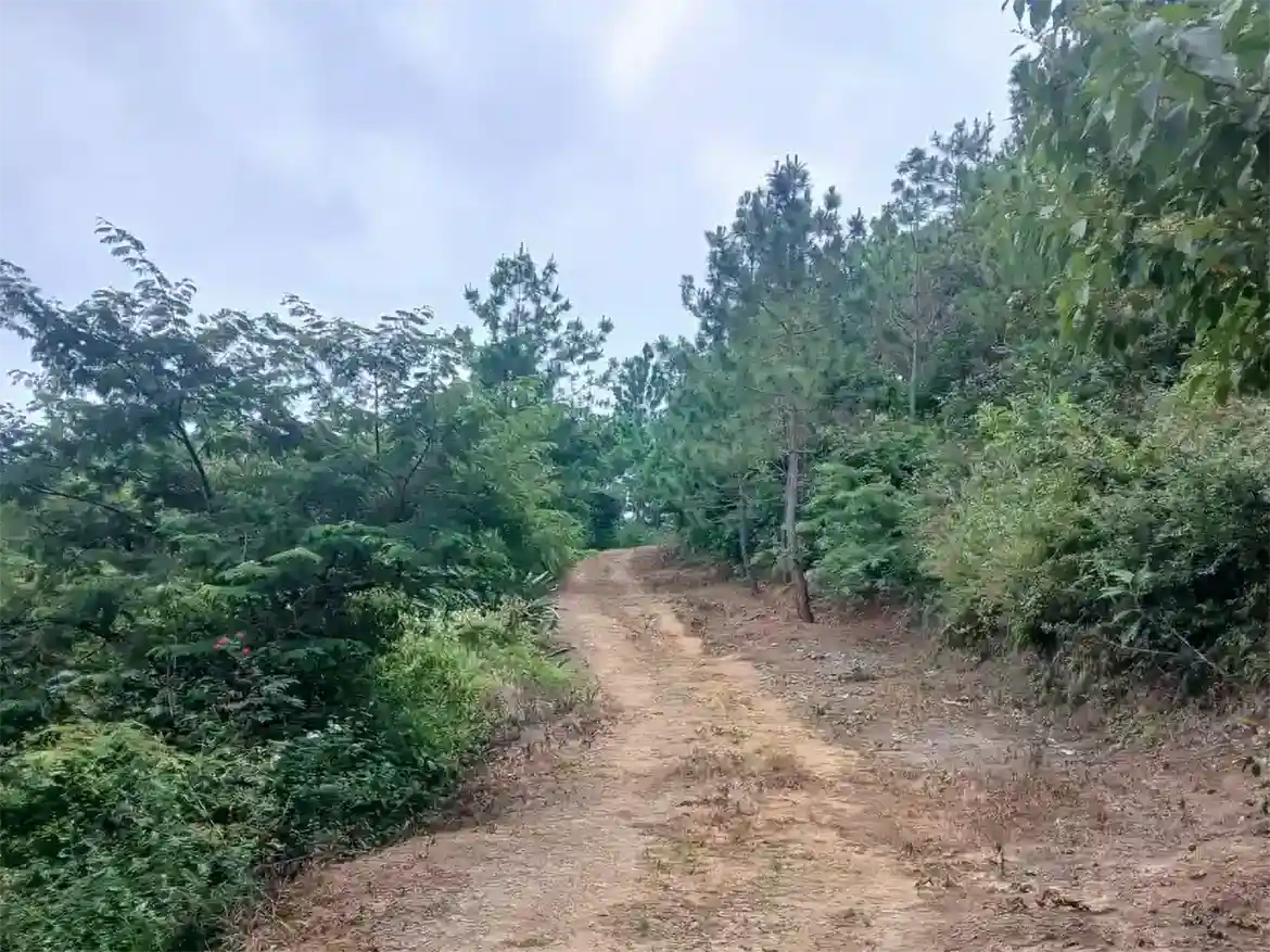 Terreno Plano Aldea Montúfar