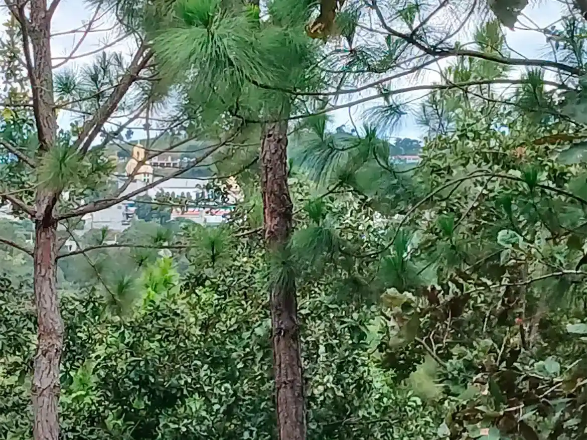 Terreno Plano Aldea Montúfar
