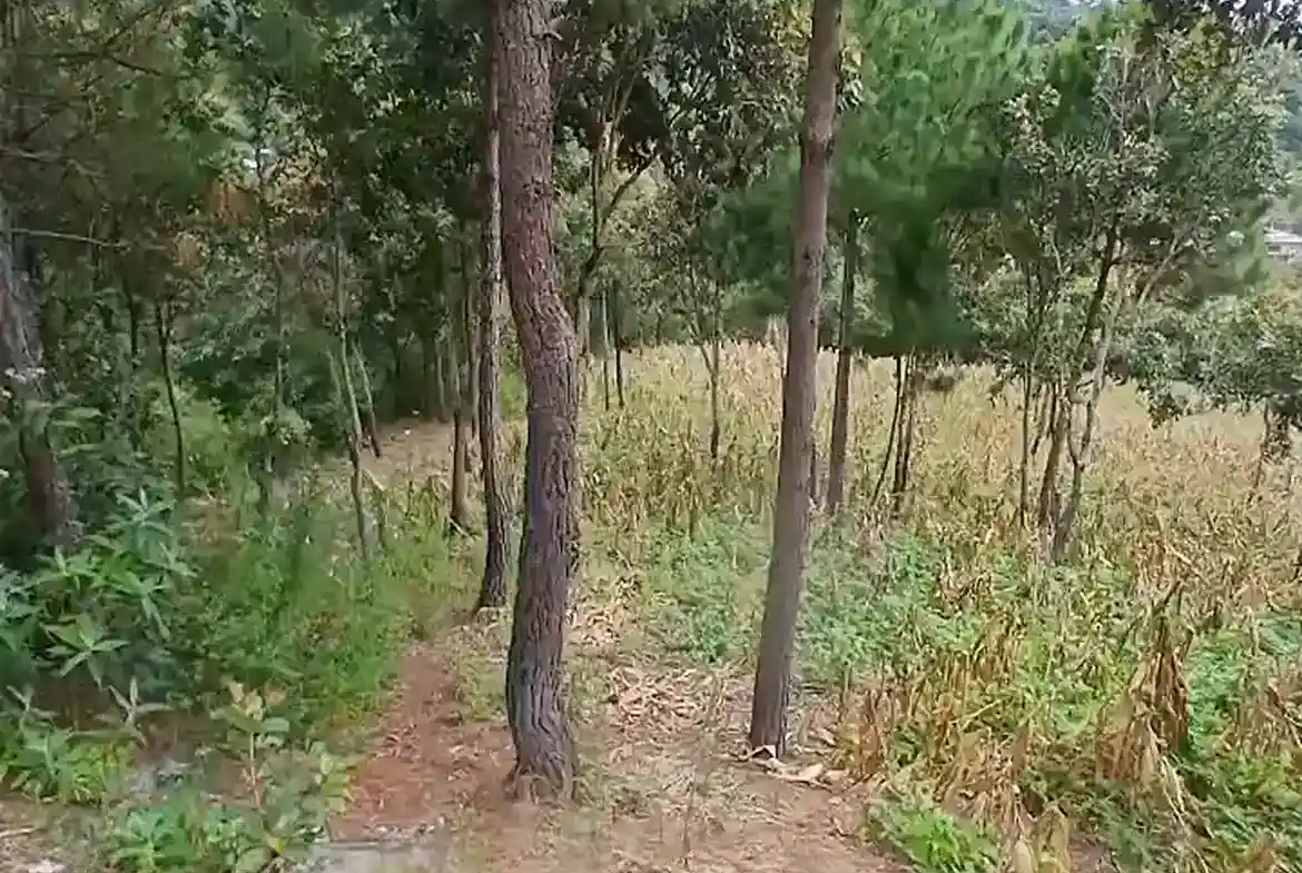 Terreno Plano Aldea Montúfar