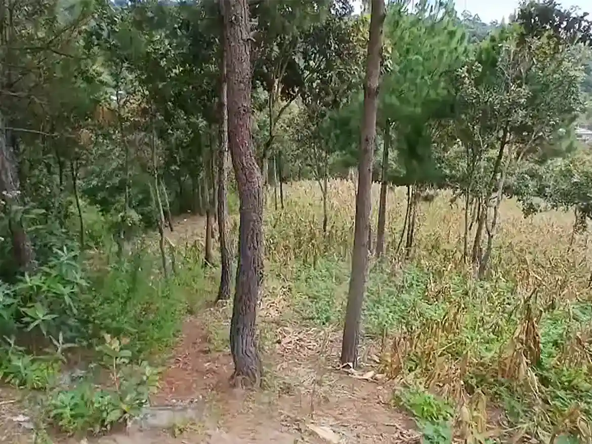 Terreno Plano Aldea Montúfar