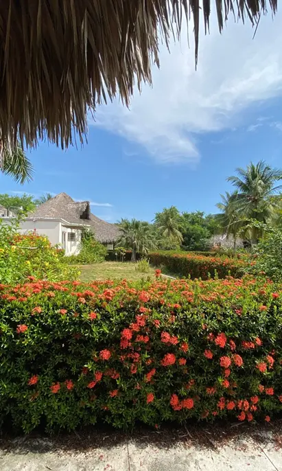 Chalet Doble Monterrico