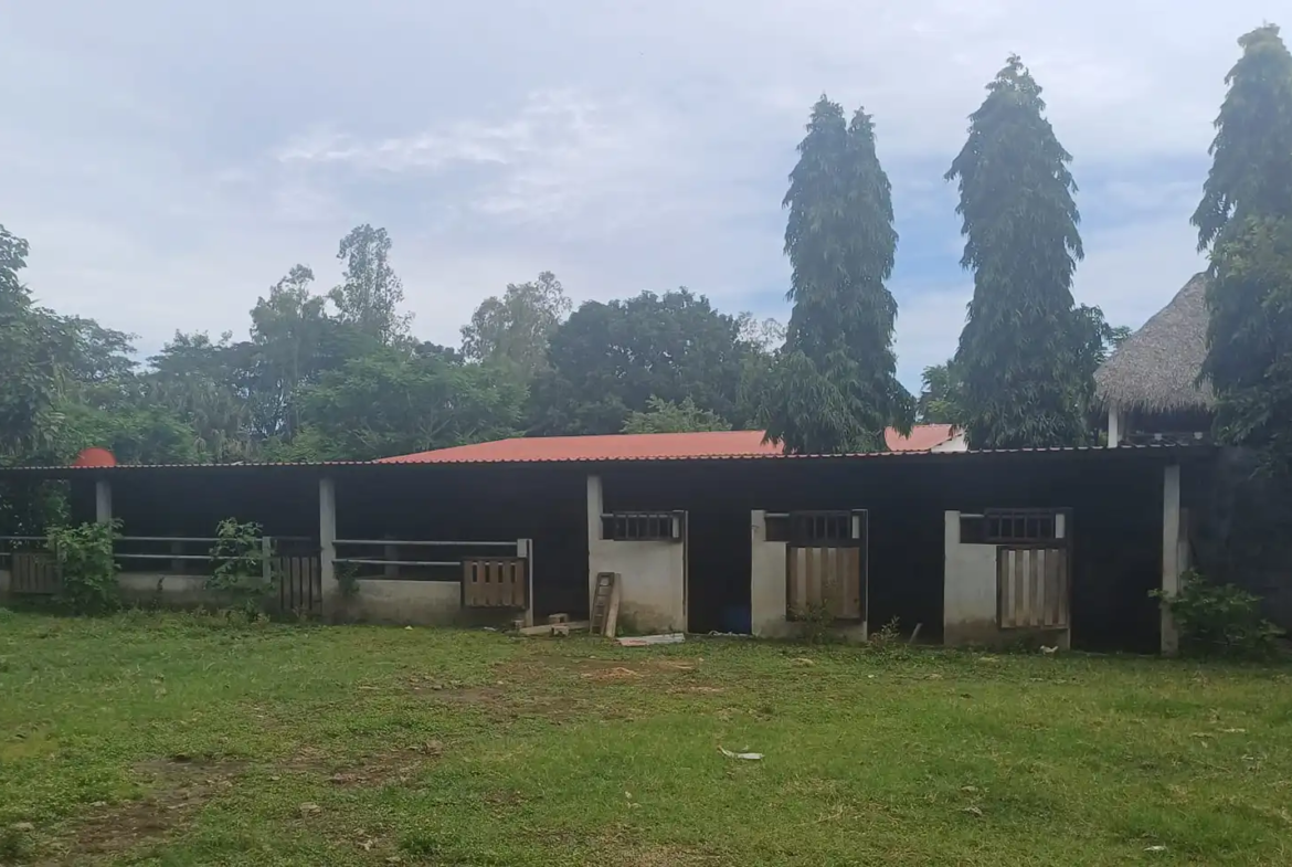 Finca El paredón Buena Vista