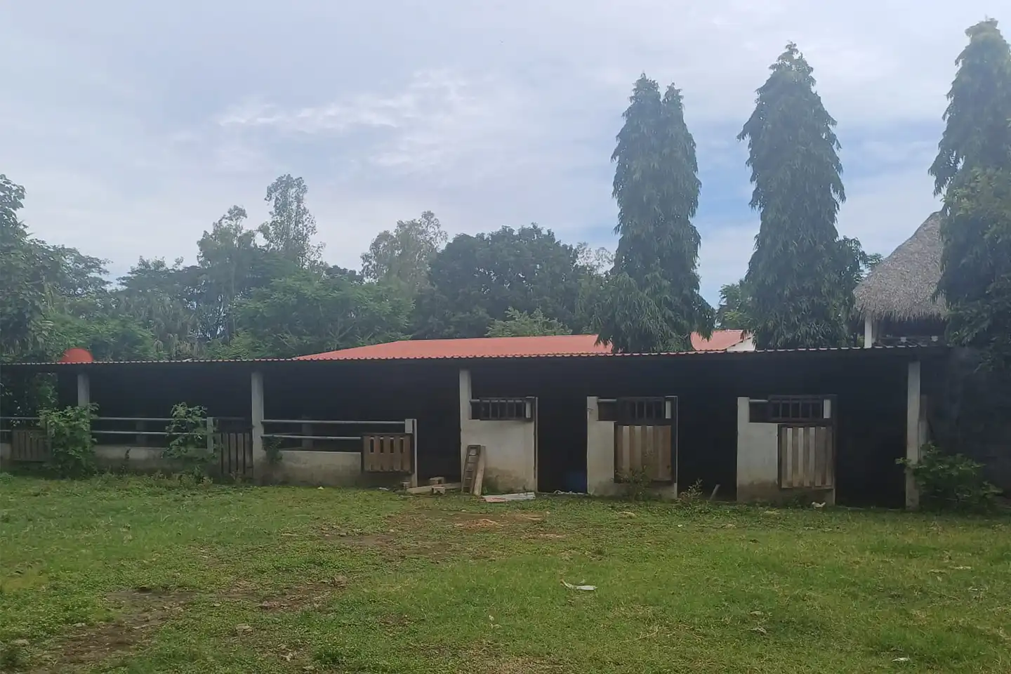 Finca El paredón Buena Vista
