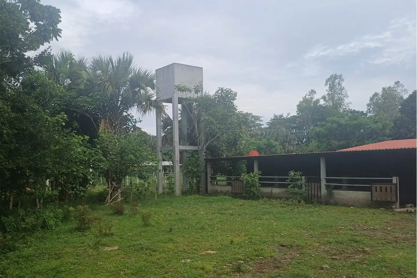 Finca El paredón Buena Vista