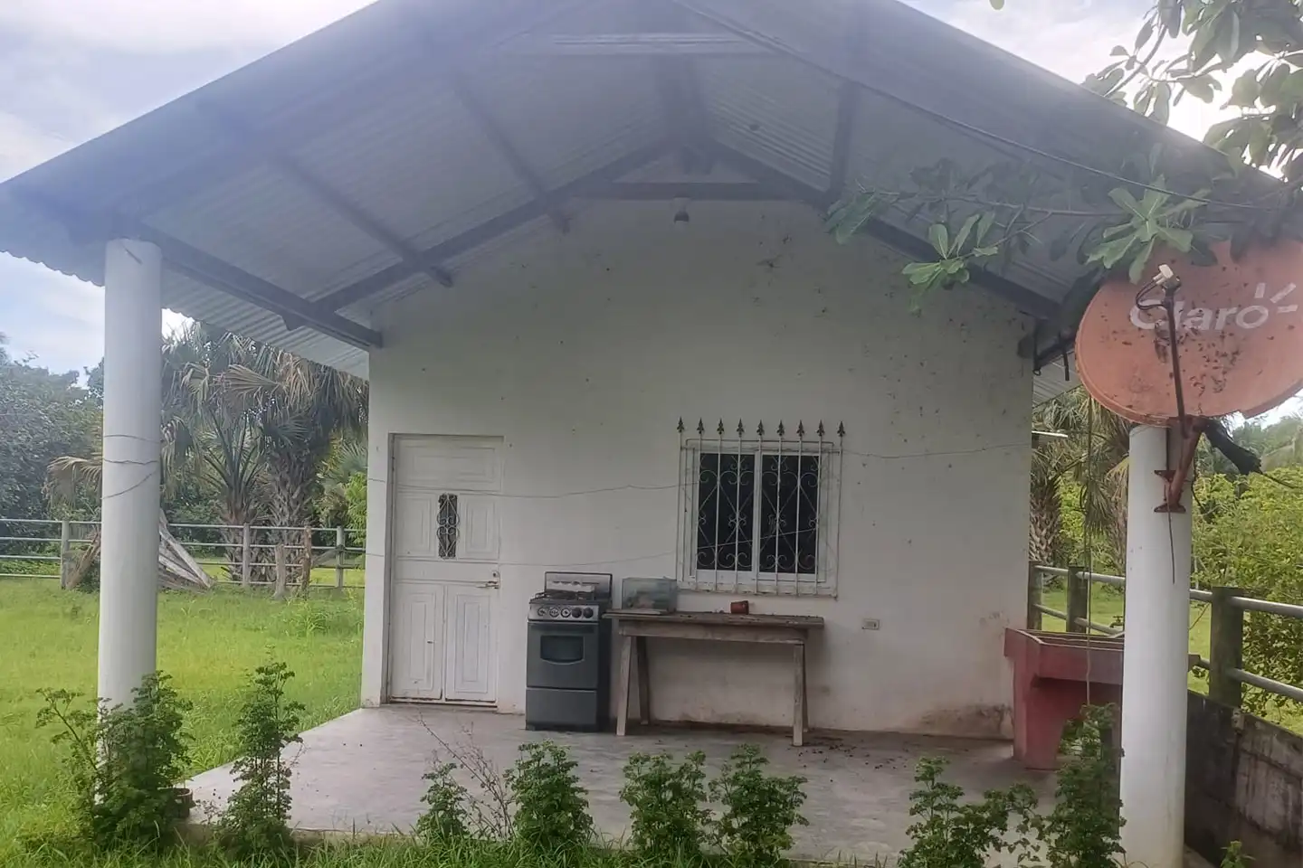 Finca El paredón Buena Vista