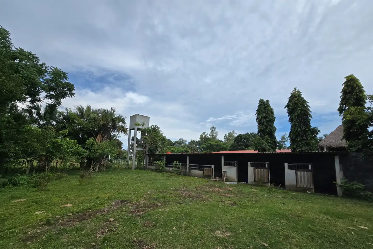 Finca El paredón Buena Vista