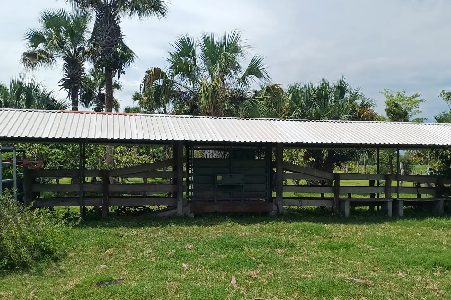 Finca El paredón Buena Vista