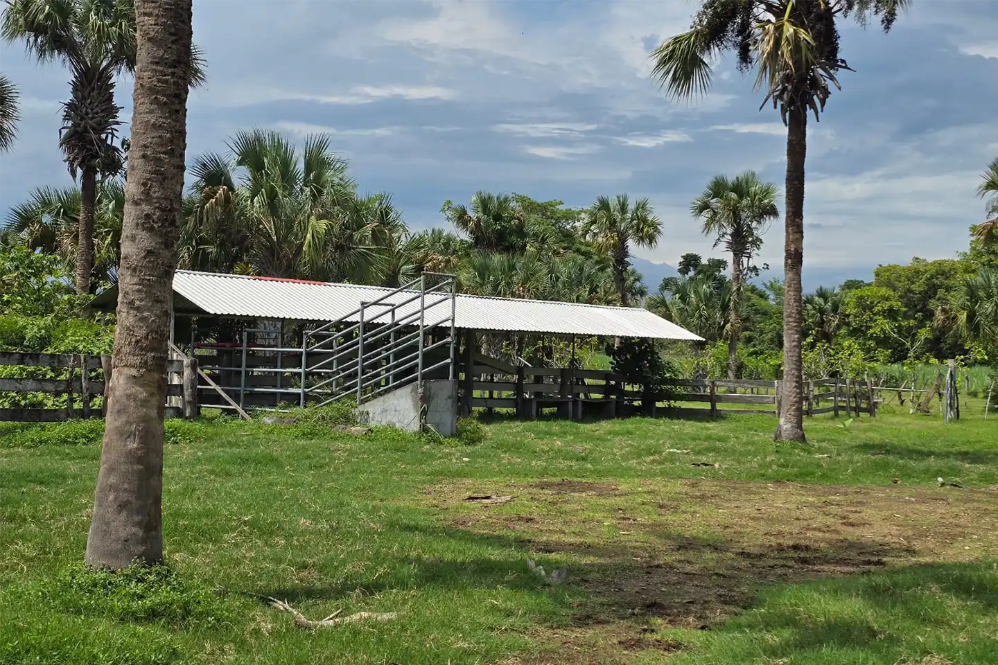 Finca El paredón Buena Vista