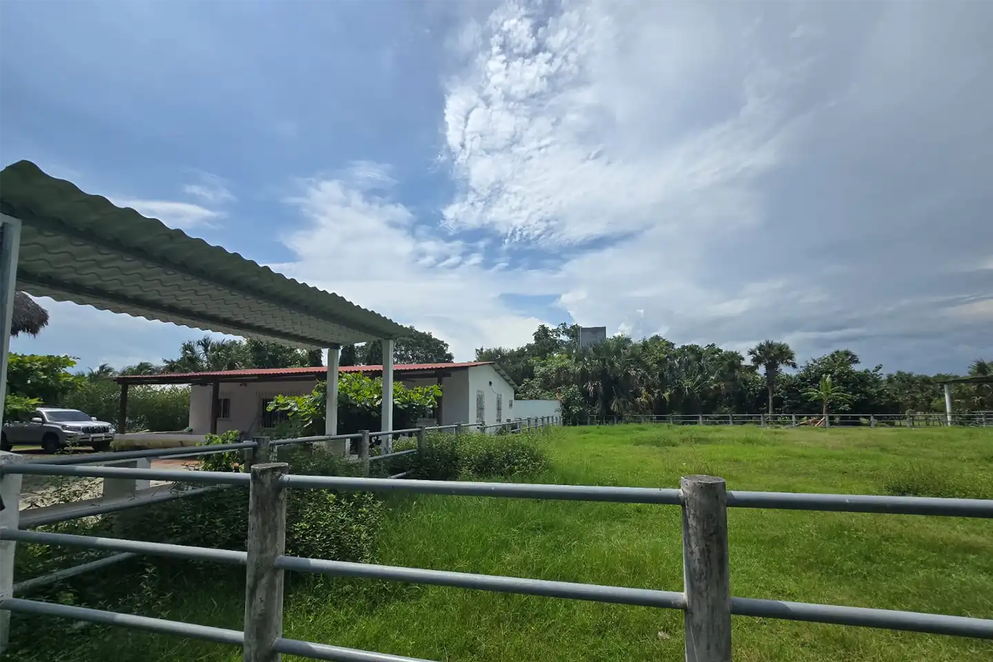 Finca El paredón Buena Vista