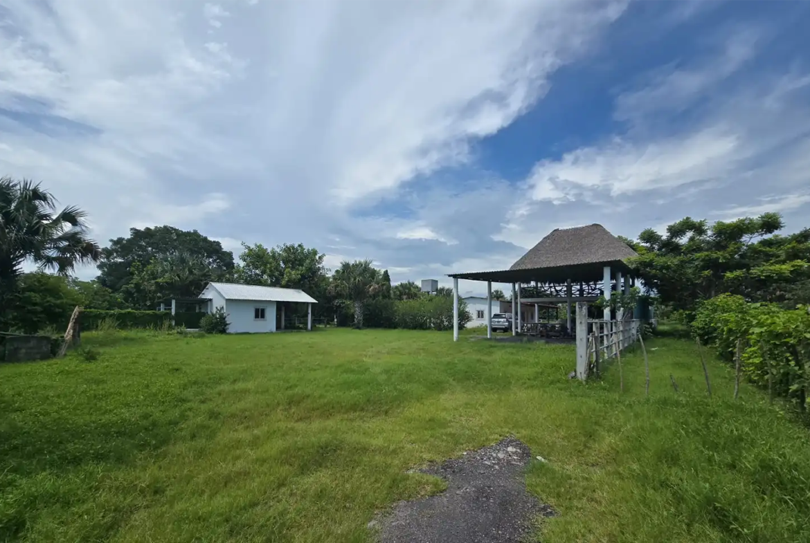 Finca El paredón Buena Vista