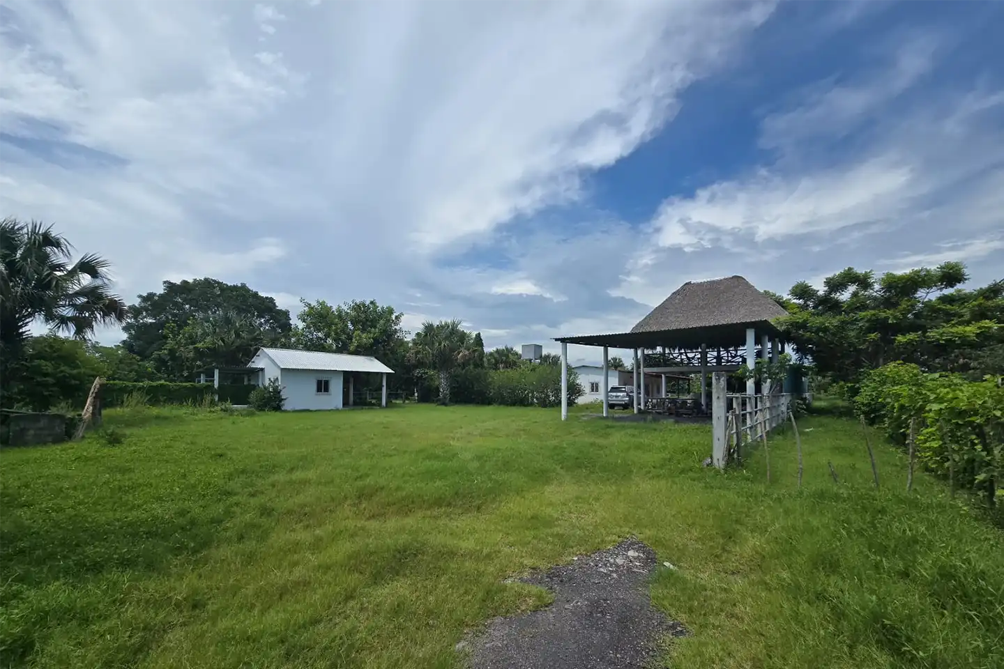 Finca El paredón Buena Vista