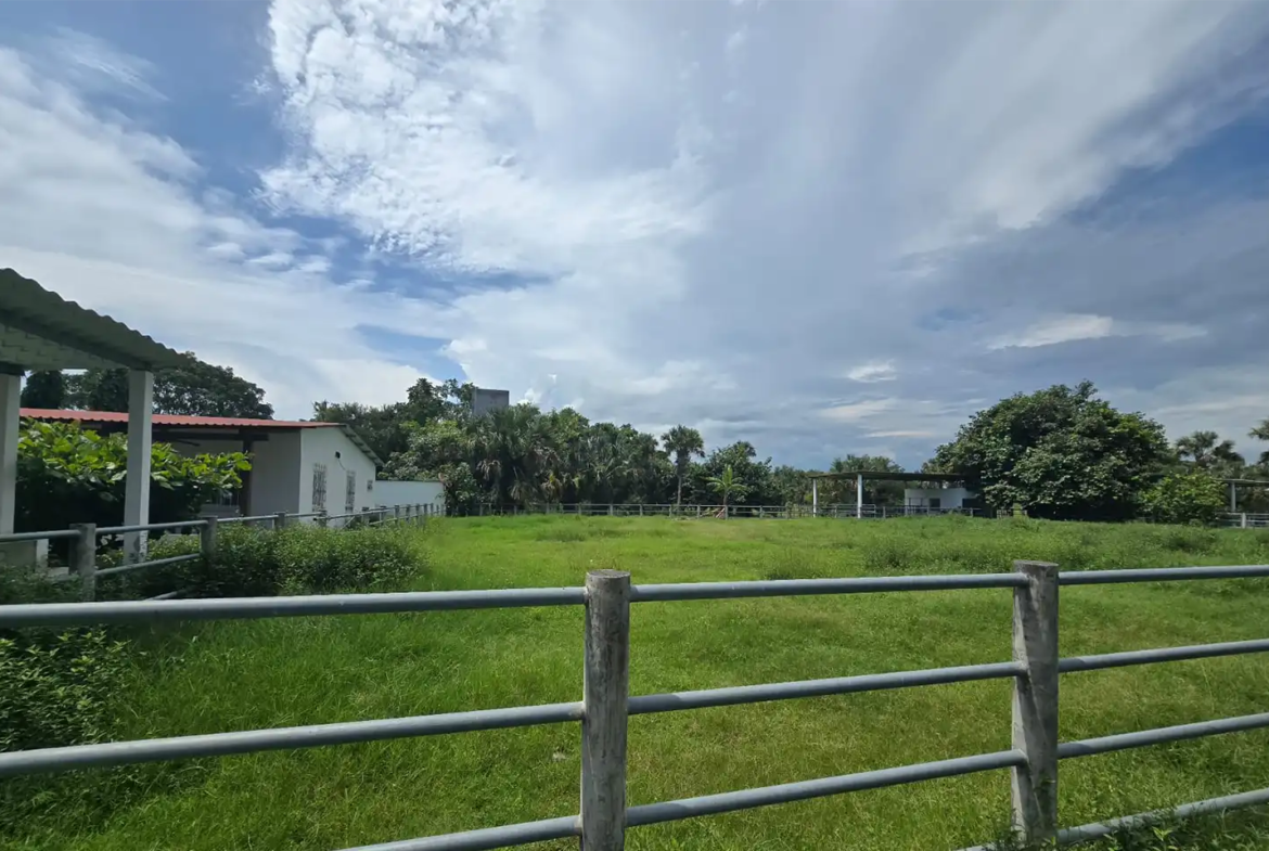 Finca El paredón Buena Vista