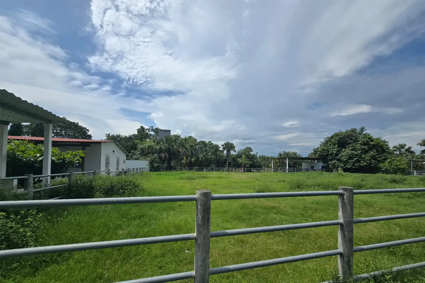 Finca El paredón Buena Vista