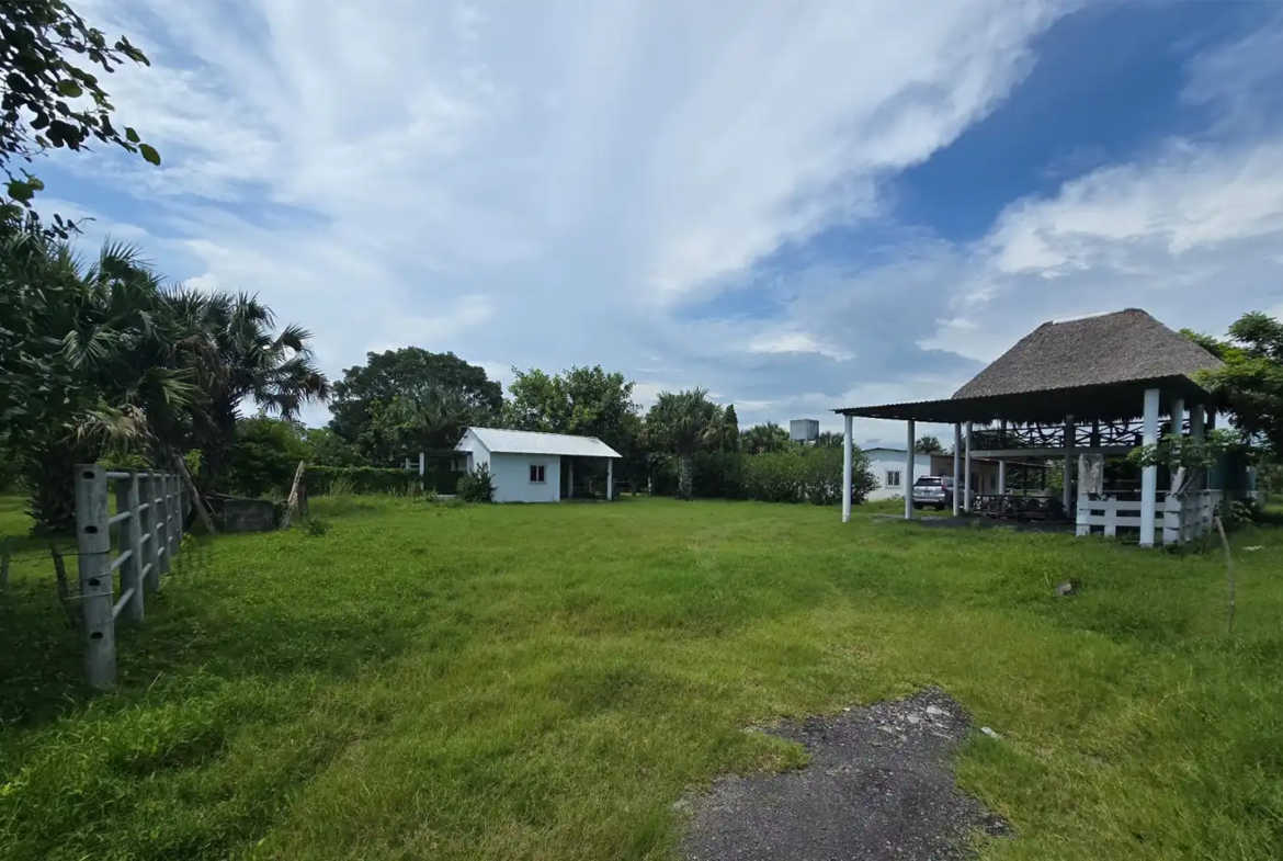 Finca El paredón Buena Vista