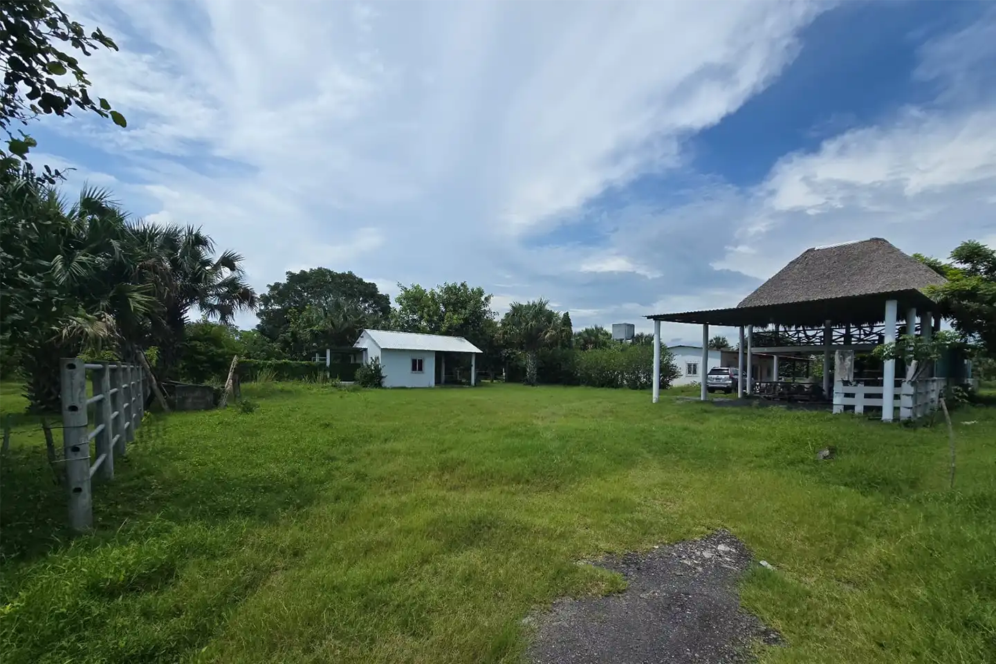 Finca El paredón Buena Vista