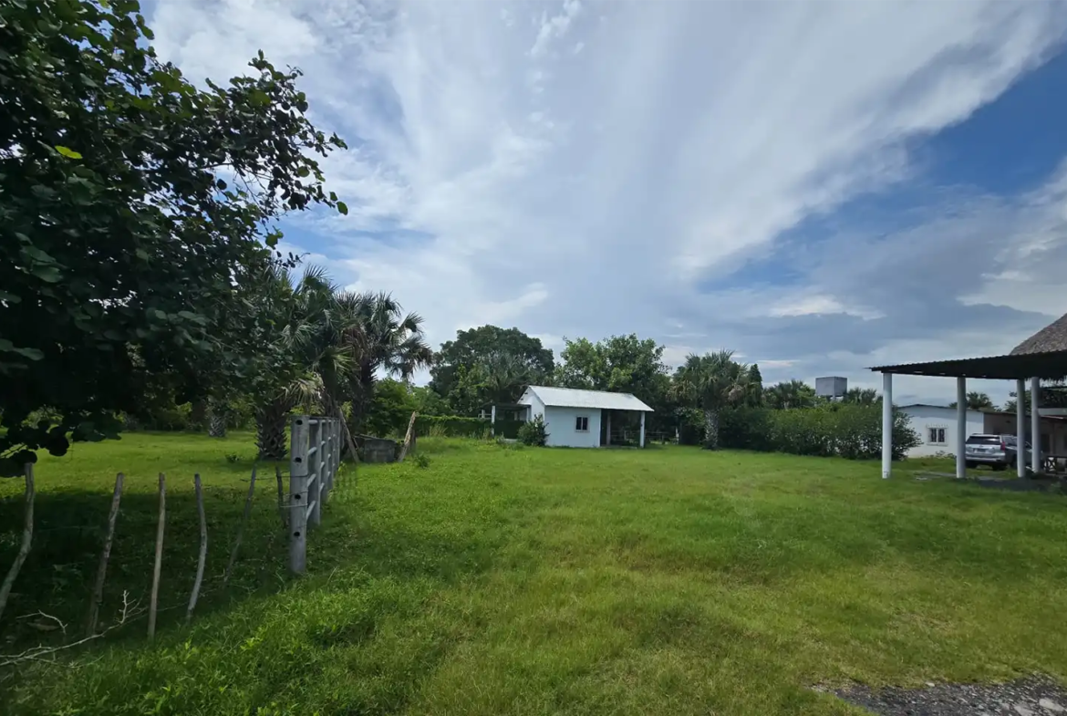 Finca El paredón Buena Vista