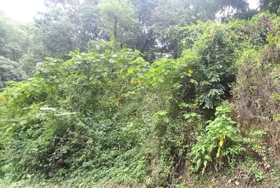 Terreno Km 31 Carretera a la Antigua Guatemala