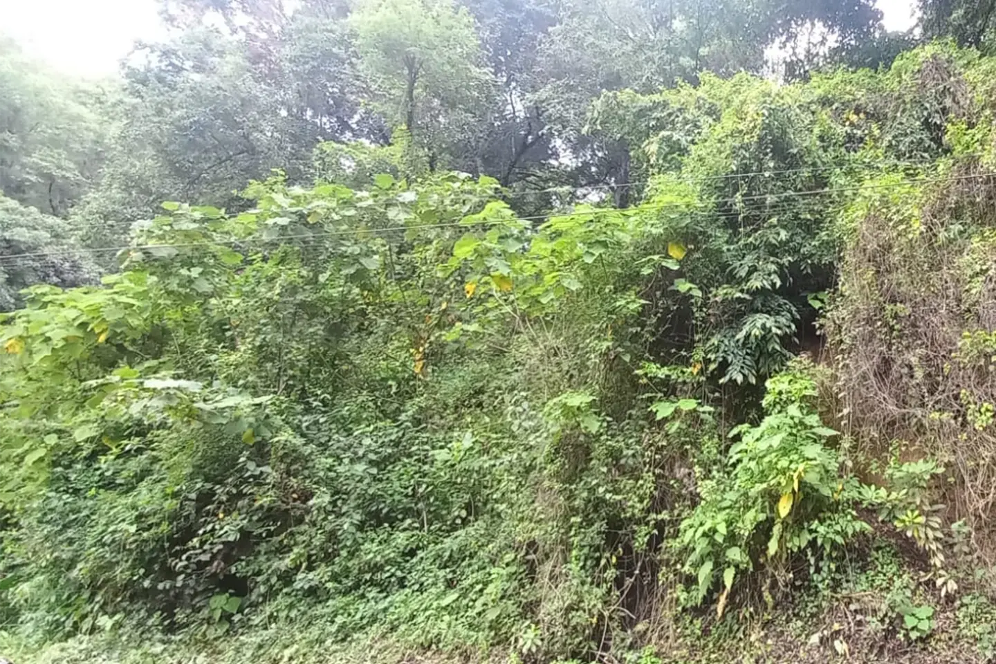 Terreno Km 31 Carretera a la Antigua Guatemala